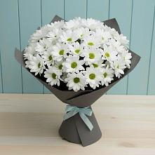 Букет цветов из:  Хризантемы в Дорогино