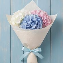 Букет цветов из:  Гортензия в Дорогино