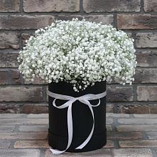 Цветочная композиция из Гипсофила в шляпной коробке в Дорогино