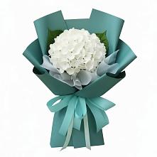 Букет цветов из:  Гортензия в Дорогино